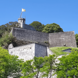 A l'assaut de la citadelle